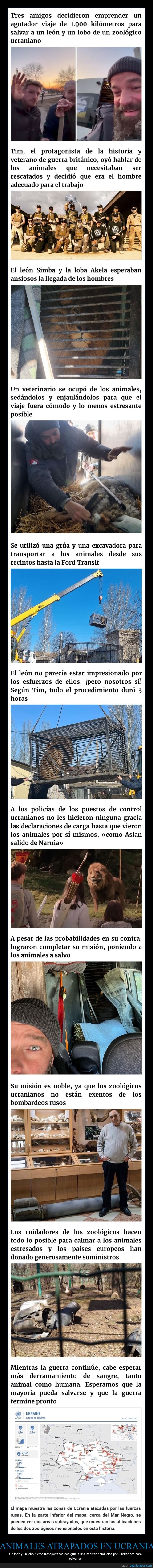 león,lovo,salvar,ucrania