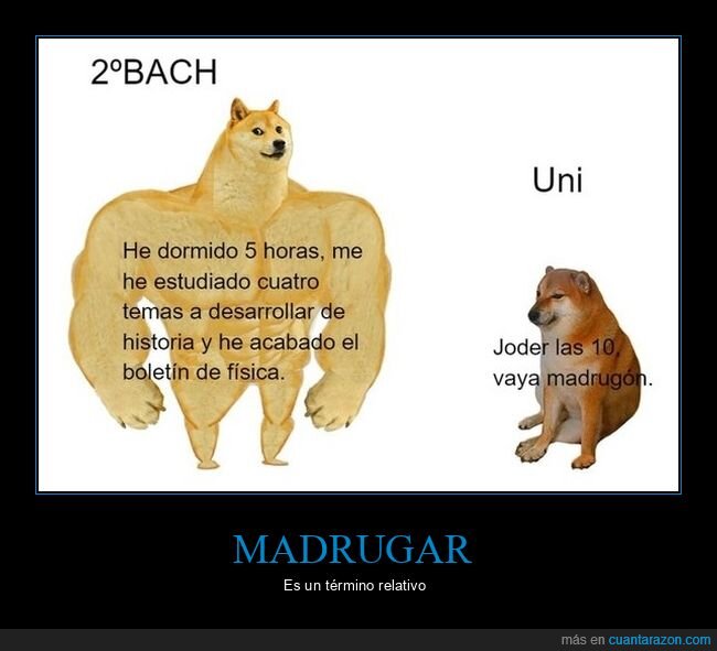 bachillerato,universidad,dormir,madrugar