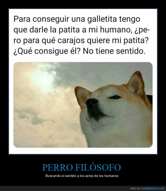 perro,galleta,pata,humano