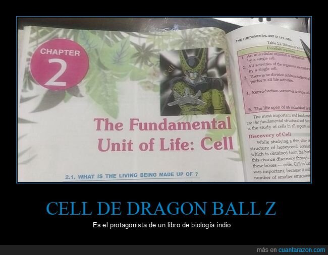 cell,dragon ball,libro de texto,india,wtf