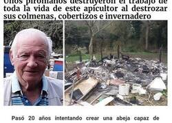 Enlace a Cosas que irritaron tanto a la gente, que tenían que compartirlo