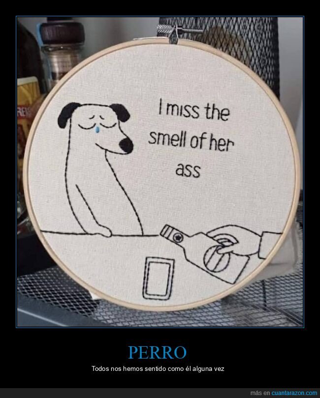 perro,echar de menos,bebiendo