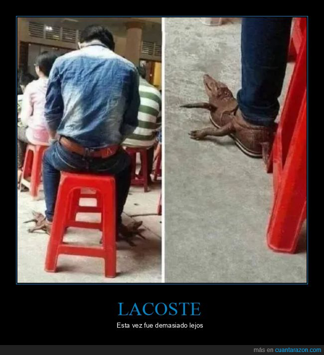 cocodrilo,lacoste,wtf,zapatos