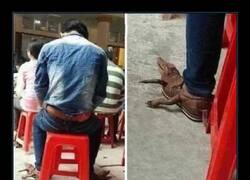 Enlace a Eso es pasarse