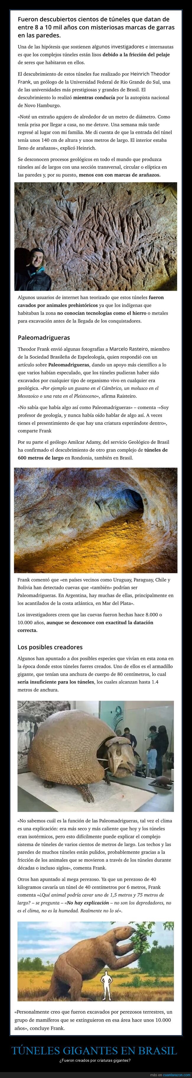 túneles,gigantes,brasil