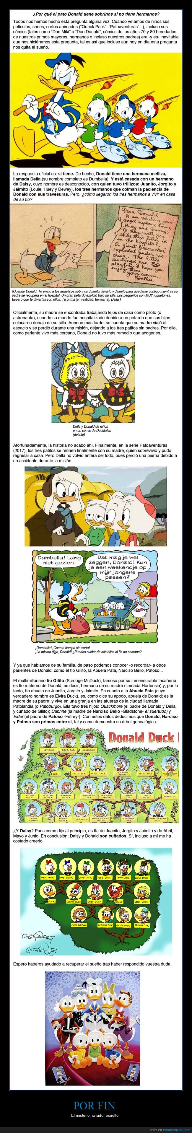 donald duck,donald,familia,hermanos,arbol genealogico