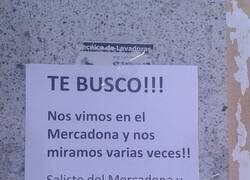 Enlace a En busca del amor