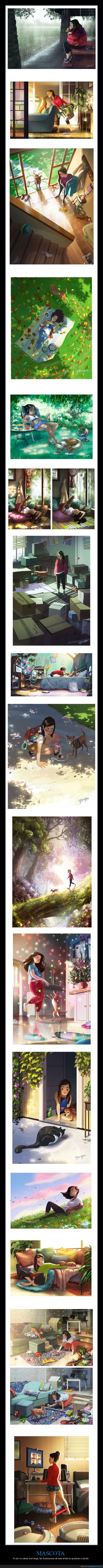 mascotas,ilustraciones