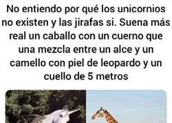 Enlace a Incomprensible