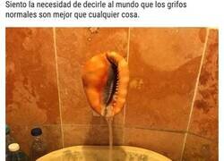 Enlace a Personas comparten los peores diseños de baño que han visto en sus vidas