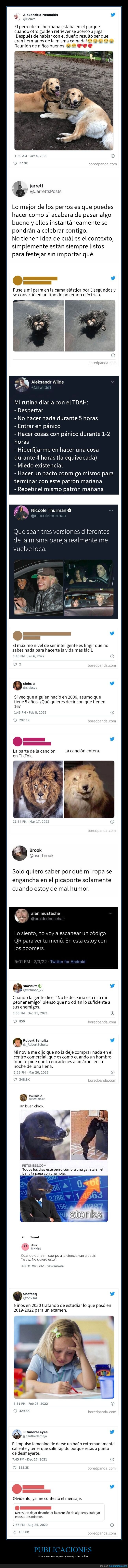 publicaciones,twitter