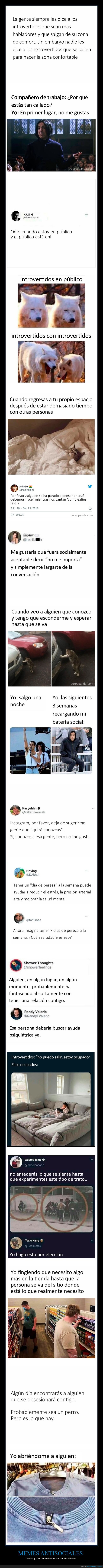 memes,antisociales