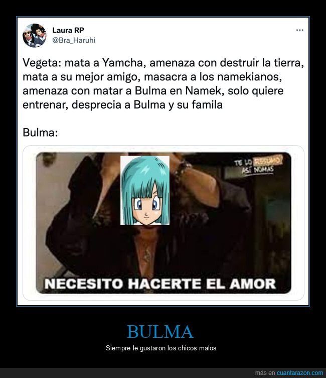 bulma,vegeta,dragon ball