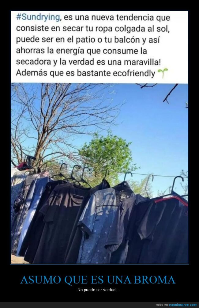 sundrying,tender,ropa