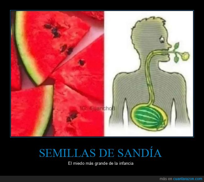 semillas,sandía,miedo