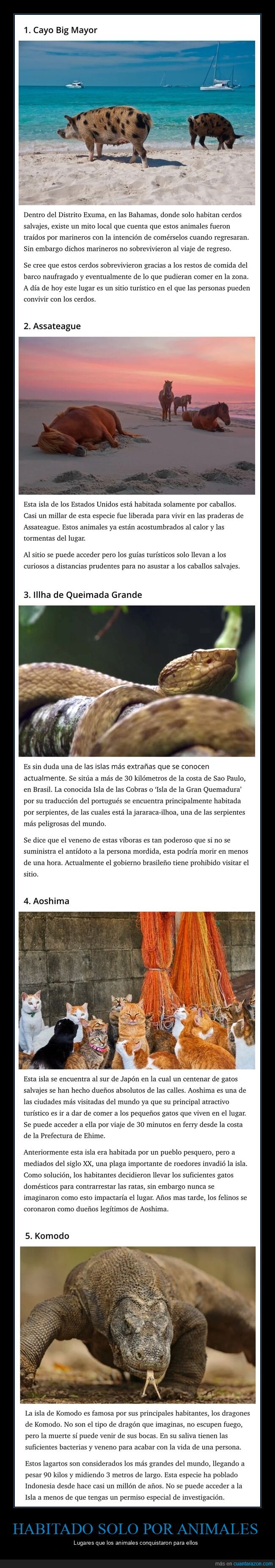 lugares,habitados,animales