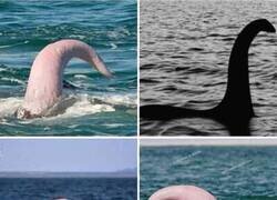 Enlace a El origen del mito