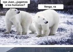 Enlace a Cachondeo polar