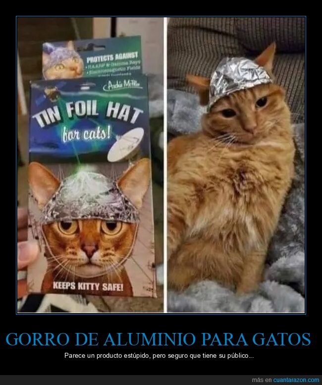 gatos,gorro de aluminio,wtf