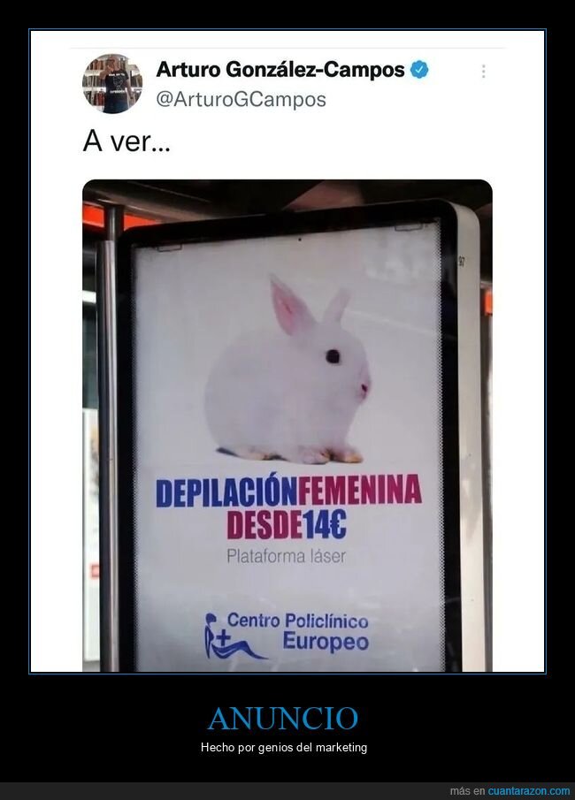 conejo,depilación,wtf