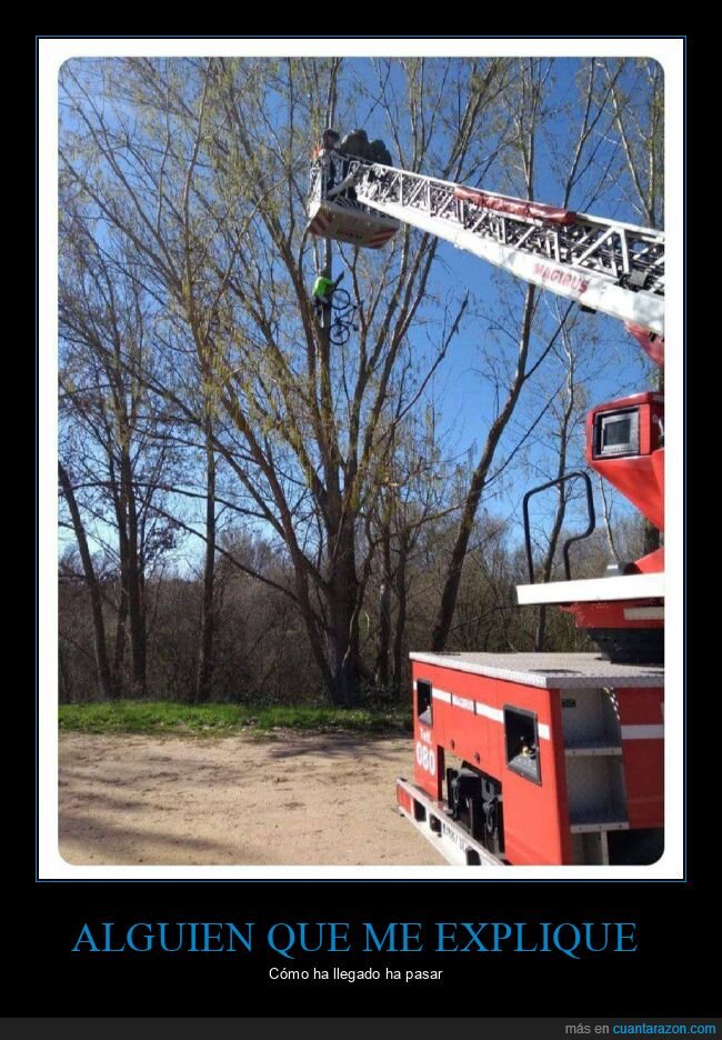 árbol,ciclista,rescate,bomberos,bicicleta