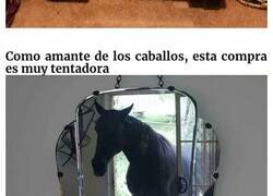 Enlace a Personas intentando vender espejos usando fotos con los reflejos más graciosos