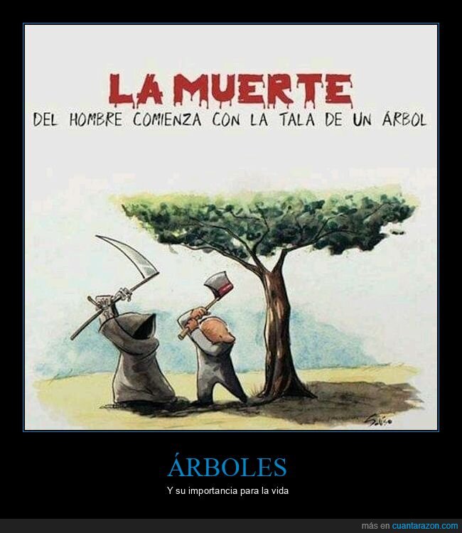 muerte,hombre,tala,árbol