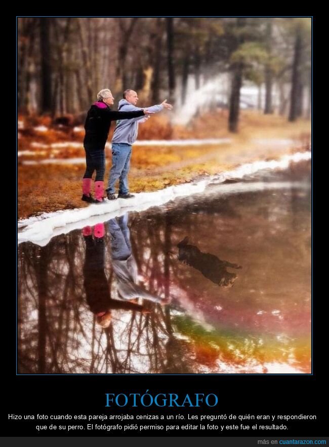 fotógrafo,perro,cenizas,editar