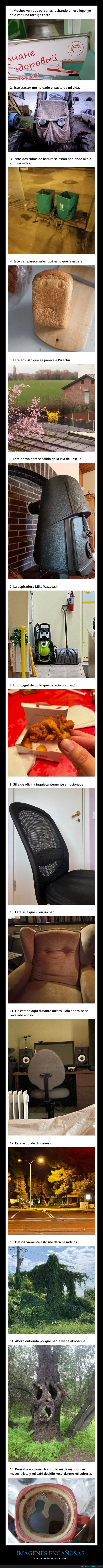 imágenes engañosas