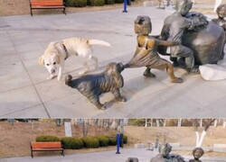 Enlace a Llegan refuerzos