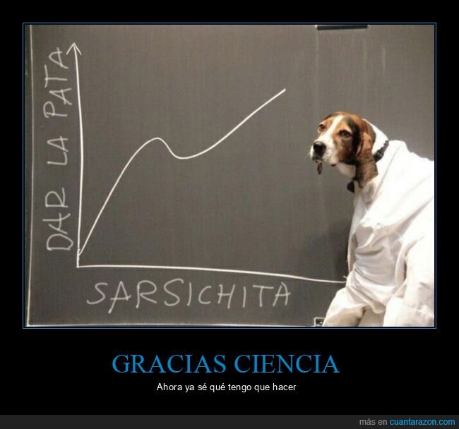 salchicha,gráfico,perro,dar la pata