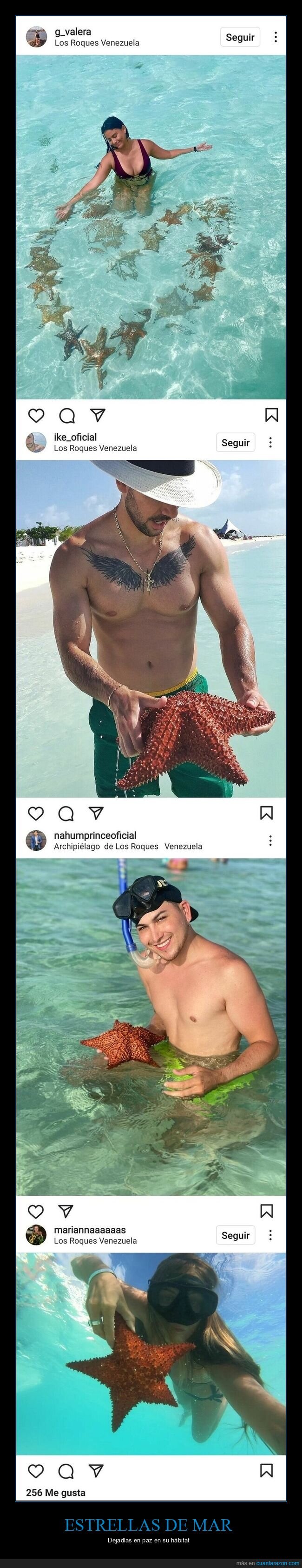 los roques,venezuela,estrellas de mar
