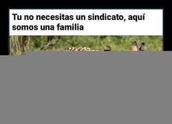 Enlace a La ficción cada vez se parece más a la realidad