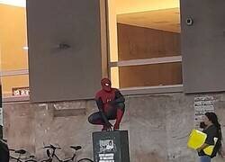 Enlace a La zona segura de la ciudad