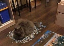 Enlace a Hay que ser cabrón eh