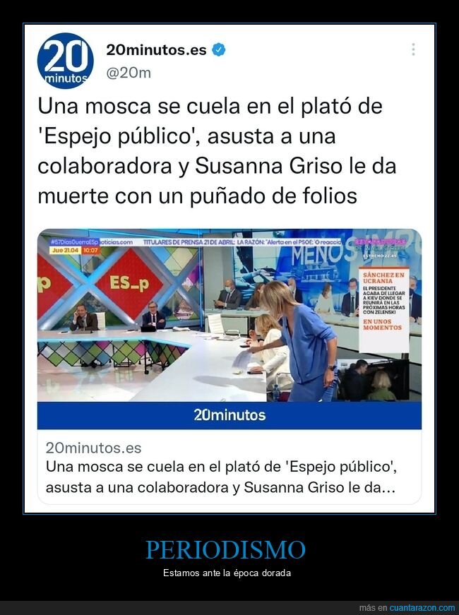 periodismo,mosca,susanna grisó