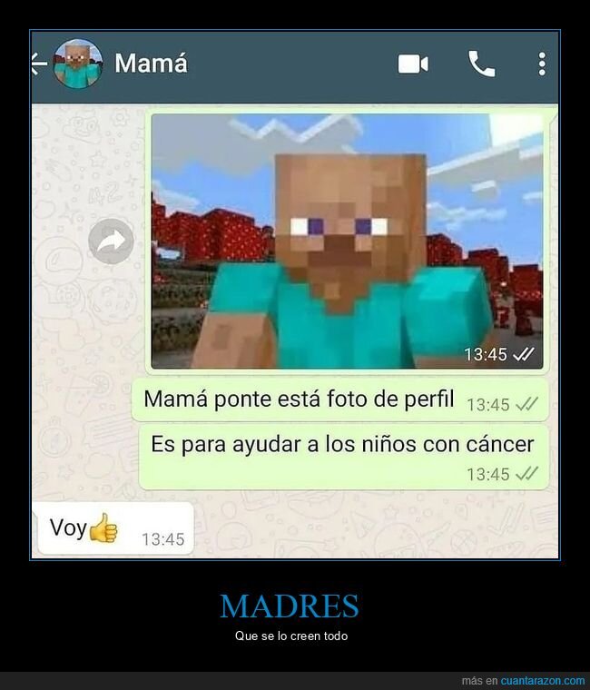 madre,minecraft,foto de perfil