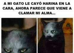 Enlace a Apartad eso de mi vista