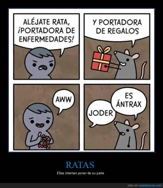 enfermedades,rata,antrax,regalos