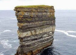 Enlace a Curiosidades de la naturaleza