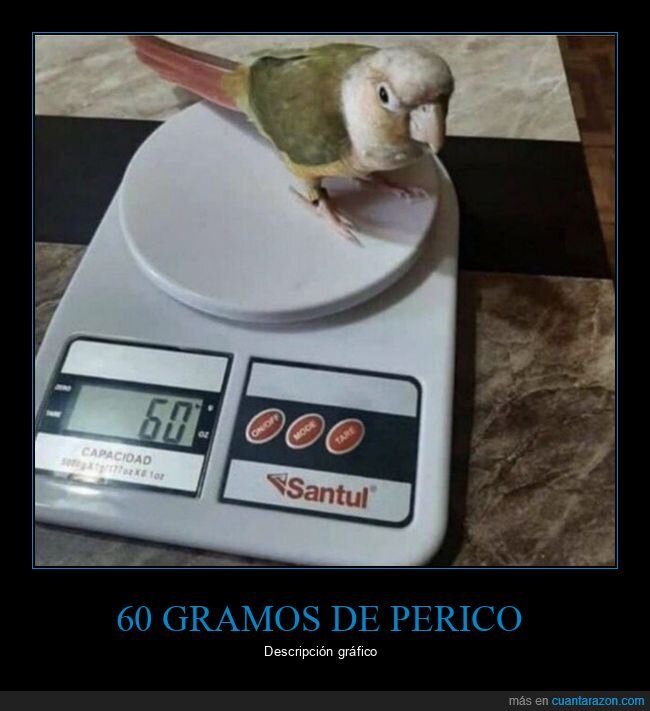 perico,periquito,bascula,pesar,peso