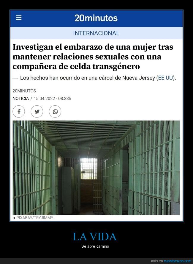 embarazo,cárcel,trans