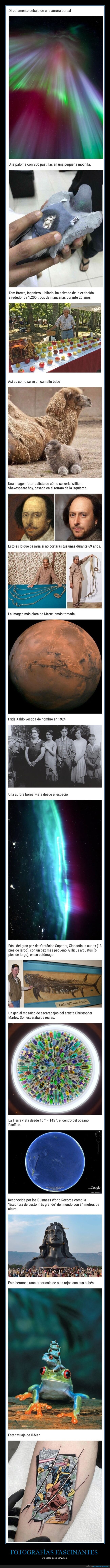 fotografías fascinantes,cosas poco comunes,curiosidades