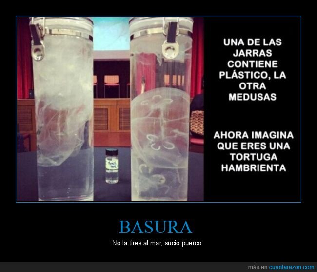 plástico,medusas,tortugas