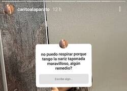 Enlace a Problemas respiratorios