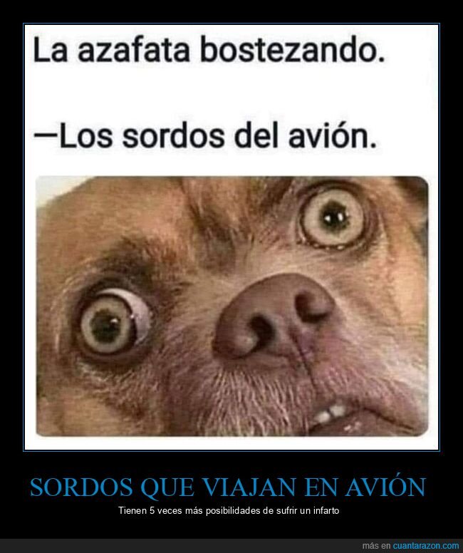 azafata,bostezando,sordos,avión