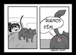 Enlace a Proporcionando las mejores vistas por las mañanas