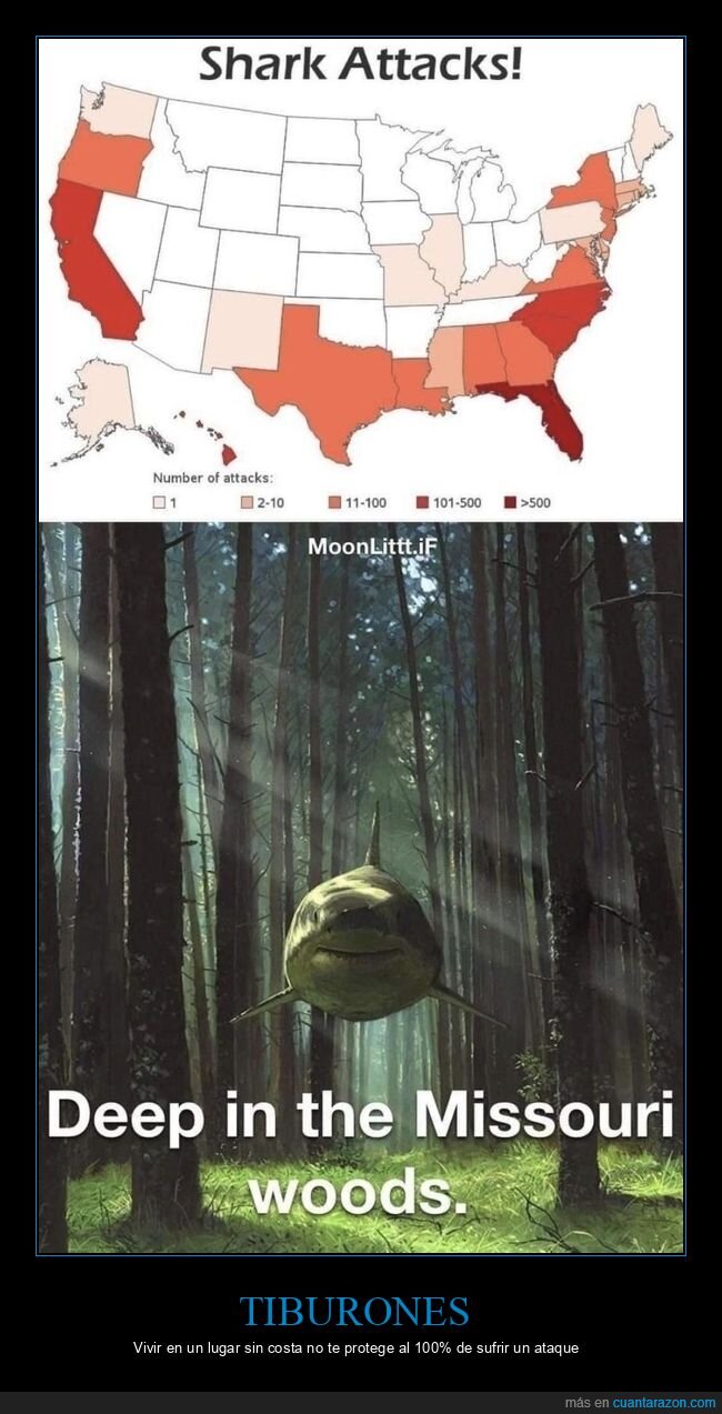 ataques,tiburones,wtf