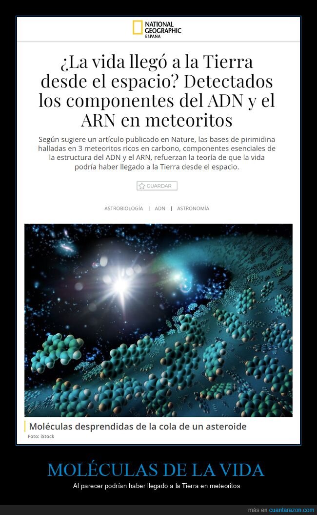 vida,tierra,espacio,adn,meteorito