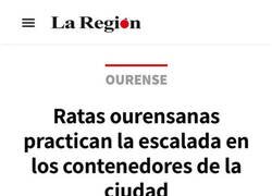 Enlace a Escalada en ourense